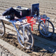 Image for article titled This Weed-Killing Robot Dispatches Dandelions with 98 Percent Accuracy